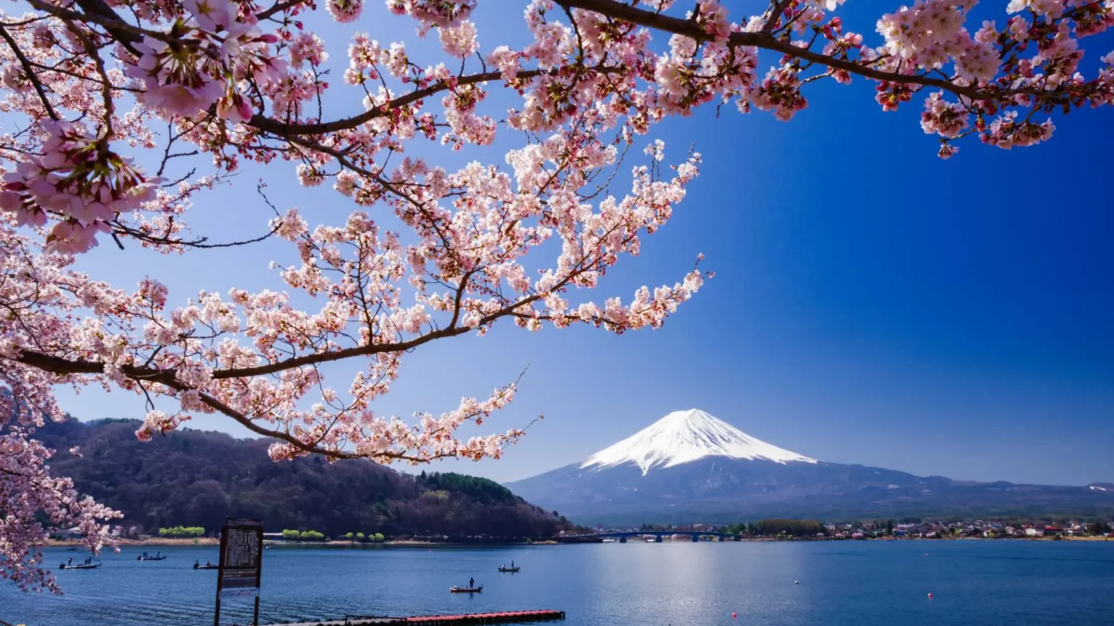 Lake Kawaguchiko Japan Best Monuments