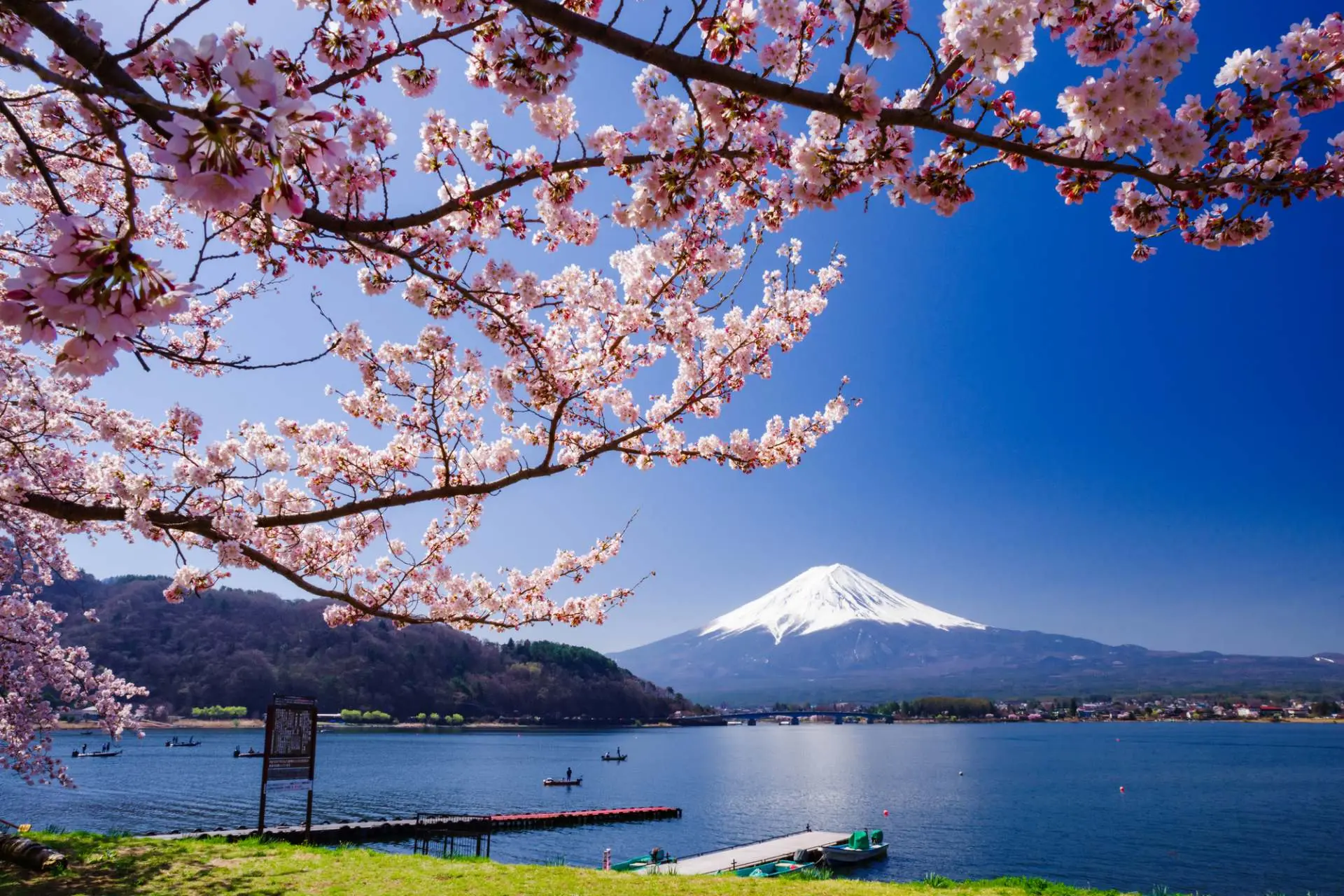 The Majestic Reflections: A Comprehensive Guide to Lake Kawaguchiko Japan